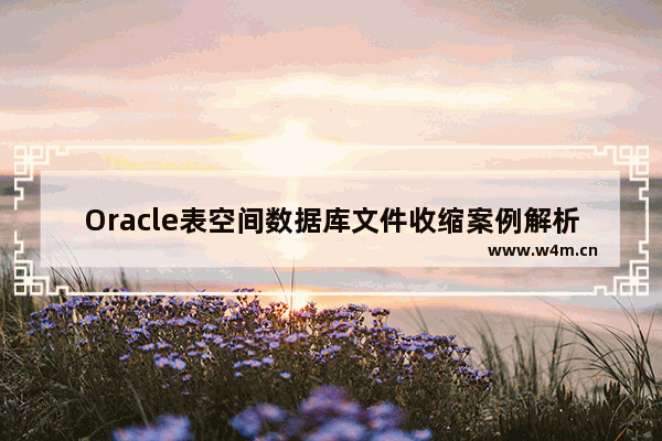 Oracle表空间数据库文件收缩案例解析