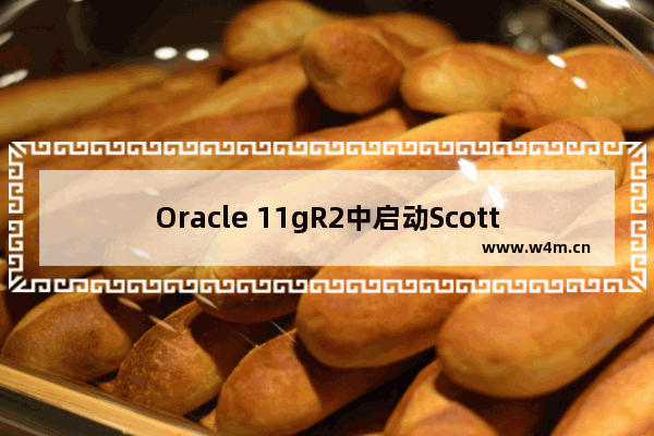 Oracle 11gR2中启动Scott用户的方法(推荐)