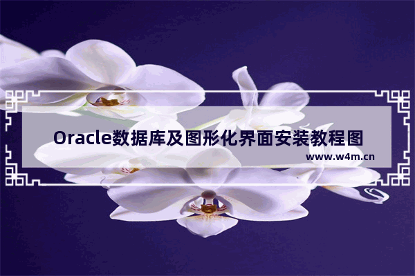 Oracle数据库及图形化界面安装教程图解