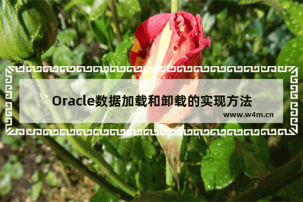 Oracle数据加载和卸载的实现方法