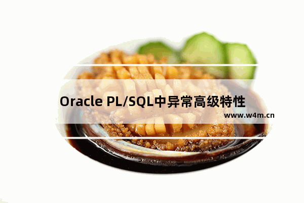 Oracle PL/SQL中异常高级特性示例解析