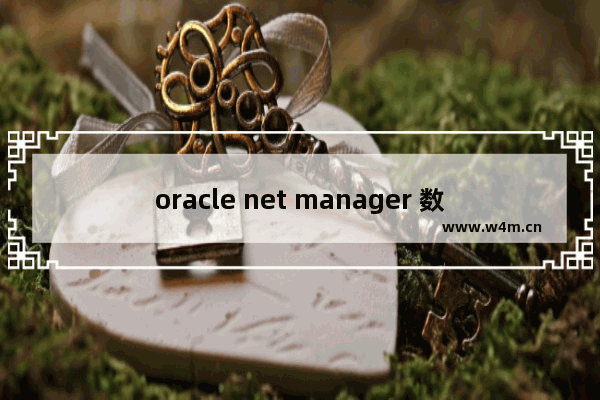 oracle net manager 数据传输安全步骤详解