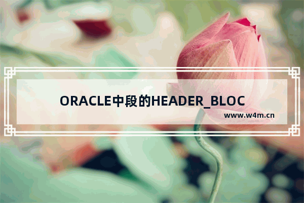 ORACLE中段的HEADER_BLOCK示例详析