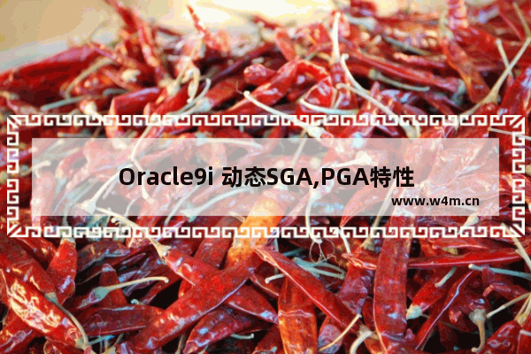 Oracle9i 动态SGA,PGA特性探索