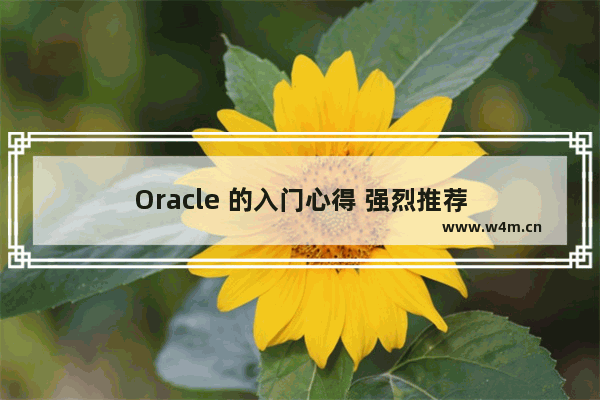 Oracle 的入门心得 强烈推荐