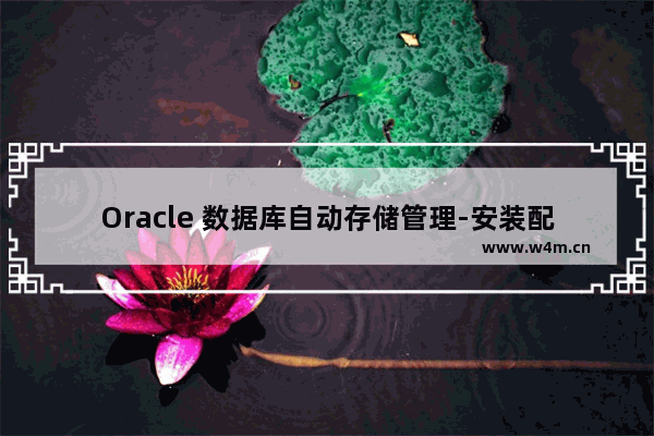 Oracle 数据库自动存储管理-安装配置