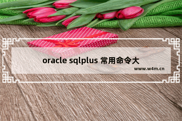 oracle sqlplus 常用命令大全