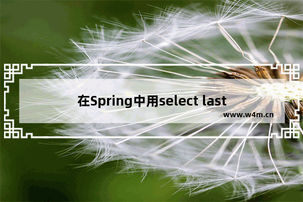 在Spring中用select last_insert_id()时遇到问题