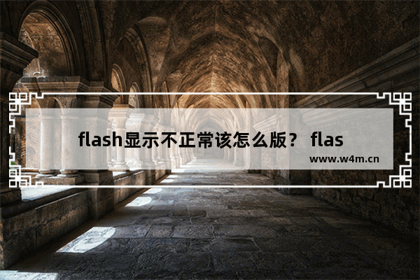 flash显示不正常该怎么版？ flash可以播放却不显示图标的教程