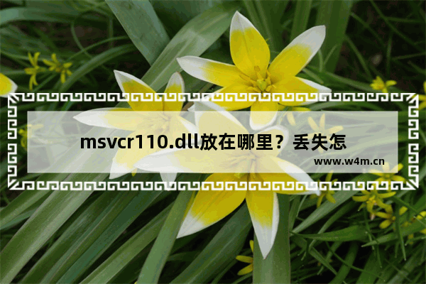 msvcr110.dll放在哪里？丢失怎么办？msvcr110.dll丢失修复方法