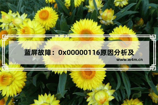 蓝屏故障：0x00000116原因分析及解决方法