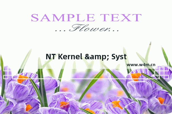 NT Kernel & System 进程CPU占用过高问题解决方法