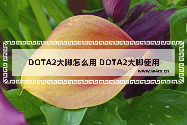 DOTA2大脚怎么用 DOTA2大脚使用教程