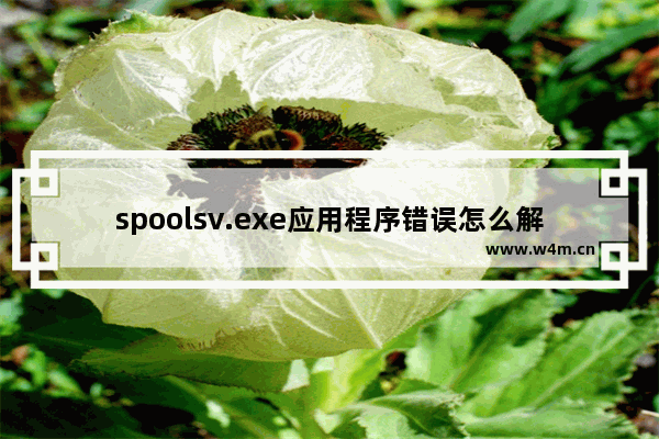 spoolsv.exe应用程序错误怎么解决？能修复吗？