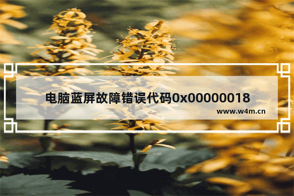 电脑蓝屏故障错误代码0x00000018的原因及解决方法