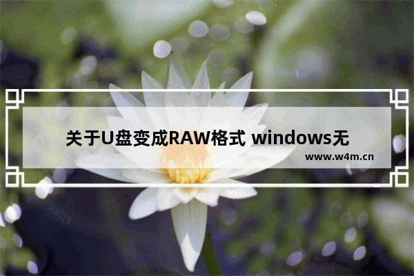 关于U盘变成RAW格式 windows无法格式化的解决方法