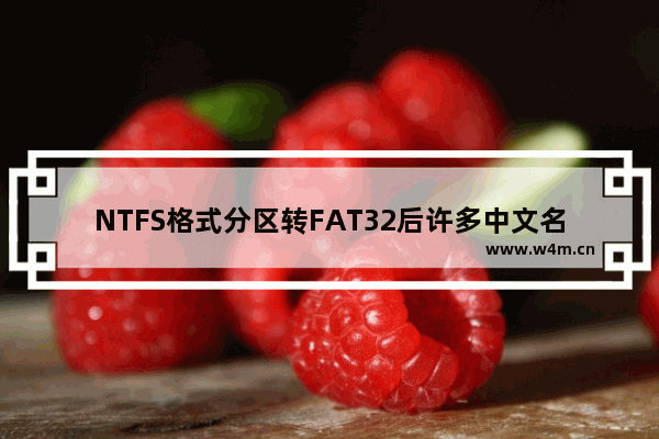 NTFS格式分区转FAT32后许多中文名的文件打不开