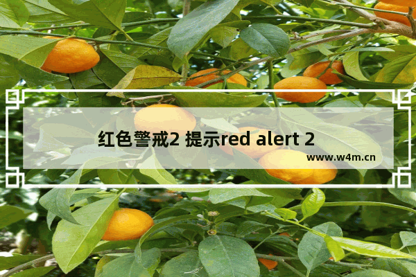 红色警戒2 提示red alert 2 has encountered 的解决方法