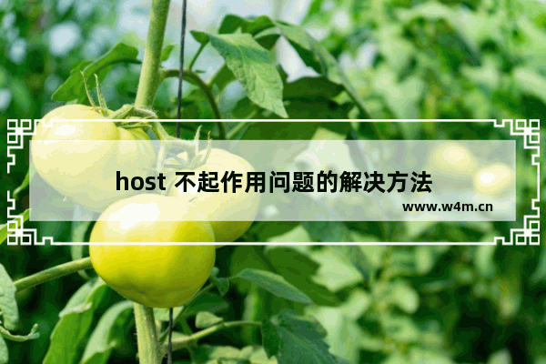 host 不起作用问题的解决方法