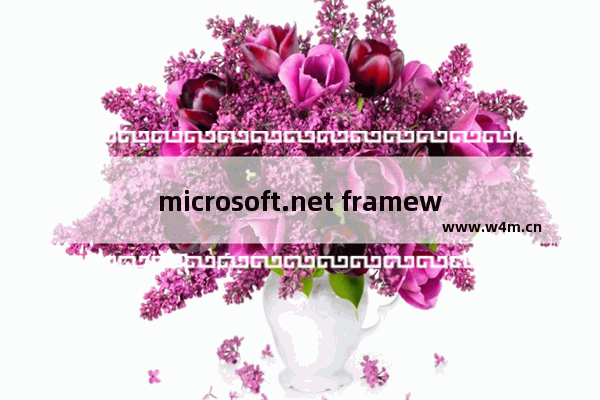 microsoft.net framework 4.0安装出现严重错误应急对策