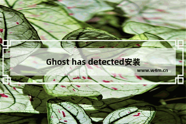 Ghost has detected安装系统出错的解决方法