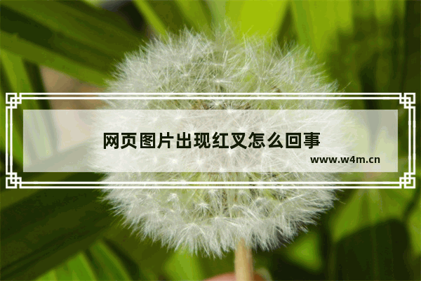 网页图片出现红叉怎么回事