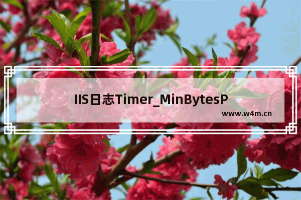 IIS日志Timer_MinBytesPerSecond，Timer_ConnectionIdle的解决方法