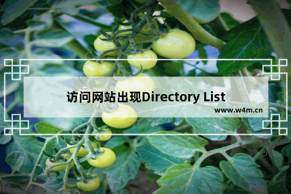 访问网站出现Directory Listing Denied的原因以及解决方法