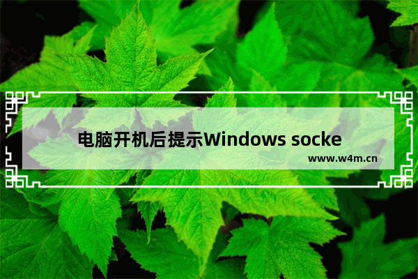 电脑开机后提示Windows socket initialize failed无法上网怎么办