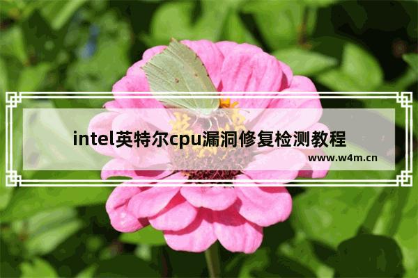 intel英特尔cpu漏洞修复检测教程