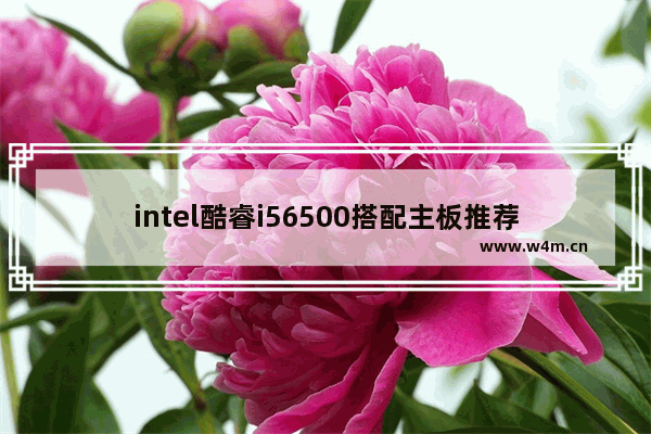 intel酷睿i56500搭配主板推荐