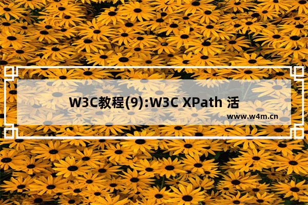 W3C教程(9):W3C XPath 活动