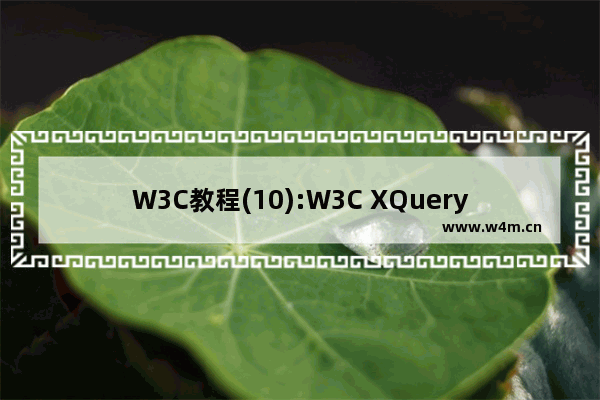 W3C教程(10):W3C XQuery 活动