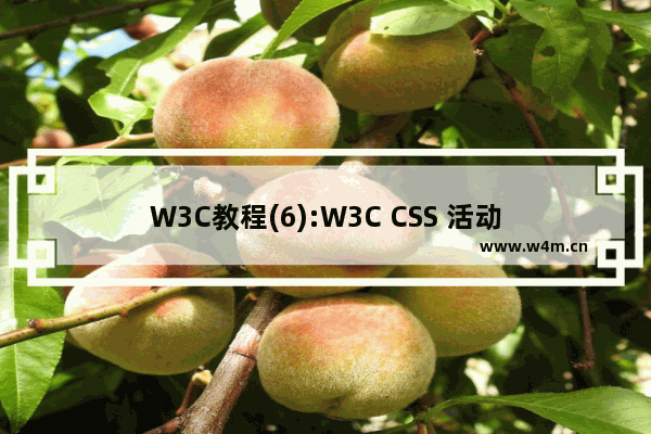 W3C教程(6):W3C CSS 活动