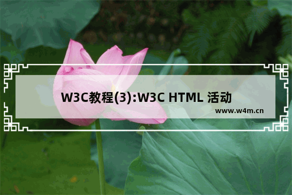 W3C教程(3):W3C HTML 活动