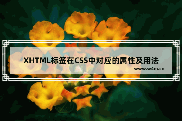 XHTML标签在CSS中对应的属性及用法