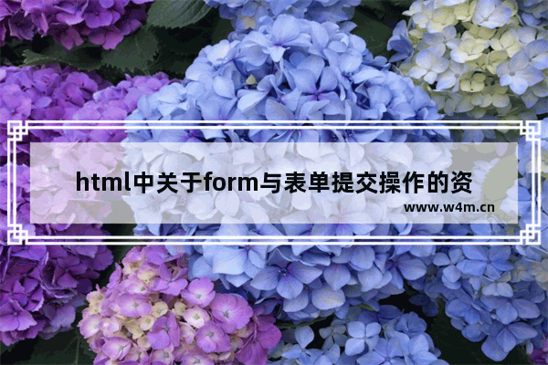 html中关于form与表单提交操作的资料集合