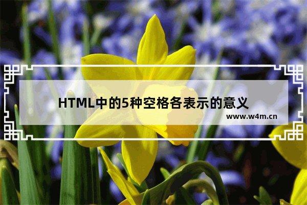 HTML中的5种空格各表示的意义