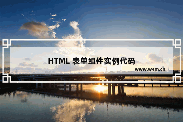 HTML 表单组件实例代码