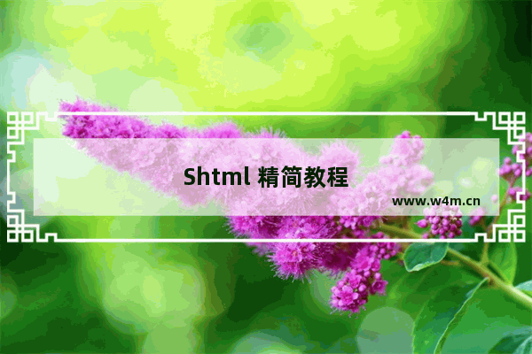 Shtml 精简教程