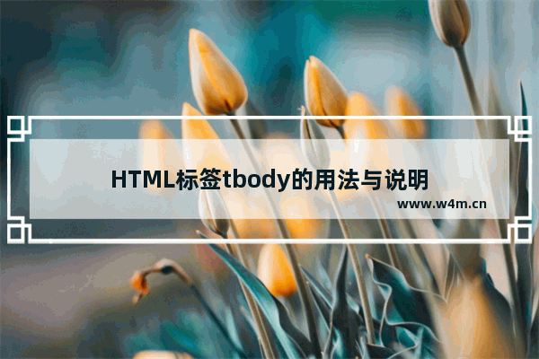 HTML标签tbody的用法与说明