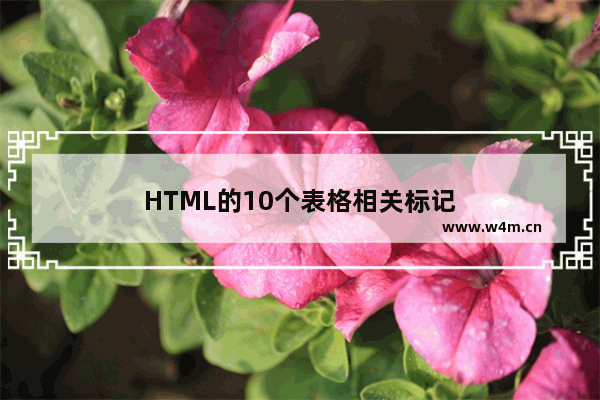 HTML的10个表格相关标记