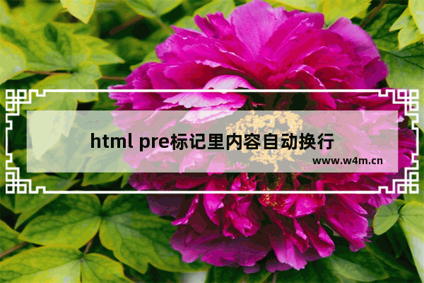 html pre标记里内容自动换行