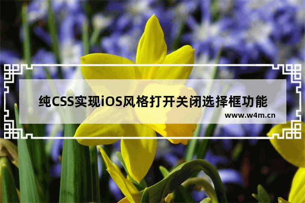 纯CSS实现iOS风格打开关闭选择框功能