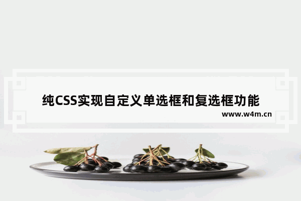 纯CSS实现自定义单选框和复选框功能