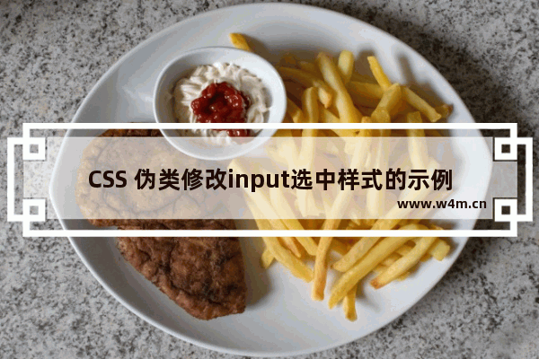 CSS 伪类修改input选中样式的示例代码