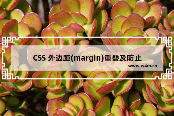 CSS 外边距(margin)重叠及防止方法