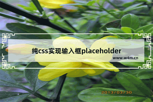 纯css实现输入框placeholder动效及输入校验