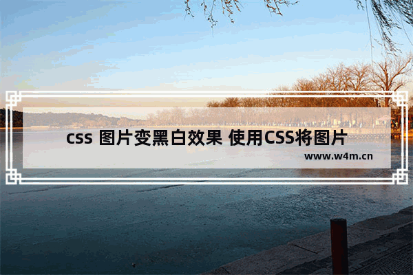 css 图片变黑白效果 使用CSS将图片转换成黑白的