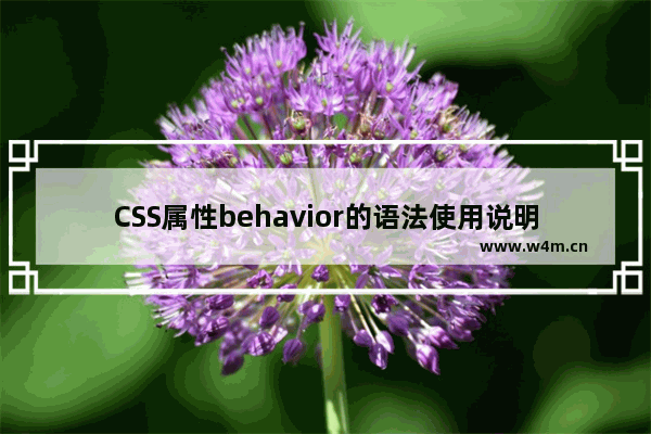 CSS属性behavior的语法使用说明